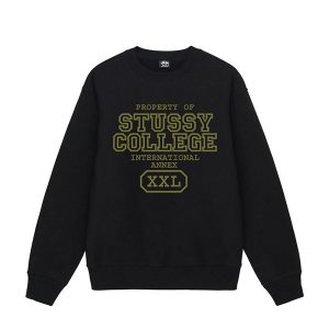 Sweatshirt International Stussy